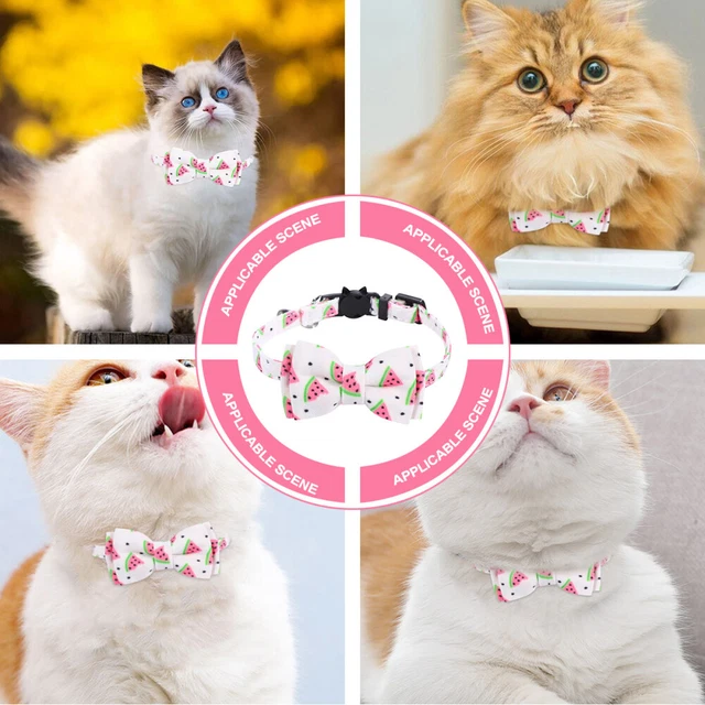 Panno animale domestico collare per gatto collare per cane mosca piccolo collare per cuccioli