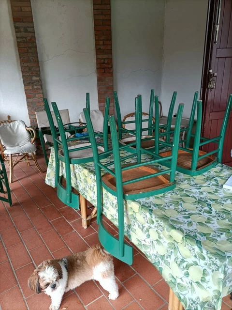 Arredo Giardino Sedie In Ghisa Usate UWY Panca Da Giardino