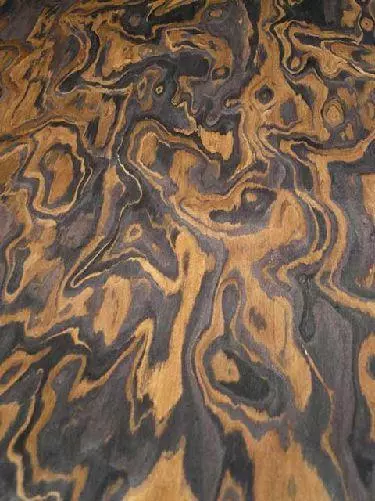 Ebono Wurzelholz Furnier Maser SaRaiFo Nußbaum burr 250x31cm