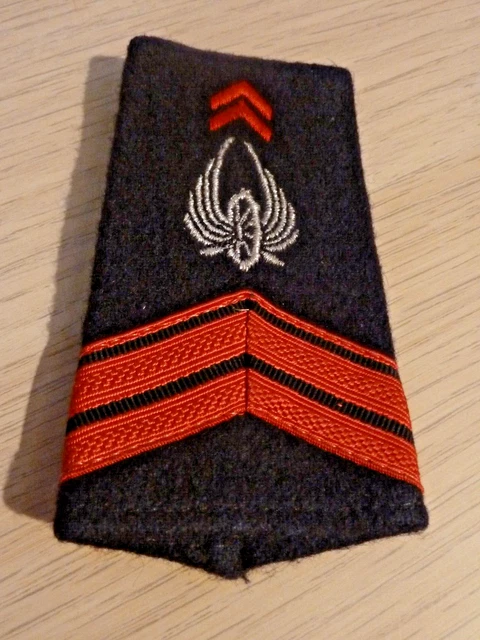 Ecusson brodé velcro du Régiment d'Infanterie de Chars de Marine