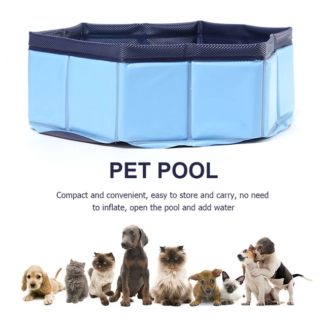 Suministros plegables de PVC para mascotas plegables para cachorros gatitos niños