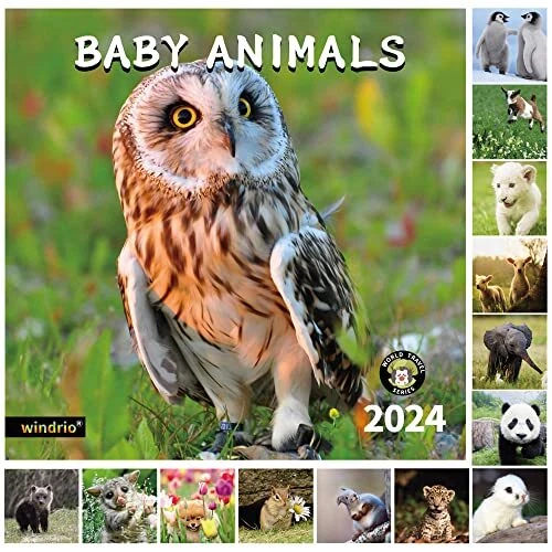 2024 WALL CALENDAR,CALENDAR 2024, November 2023 December 2024, BABY