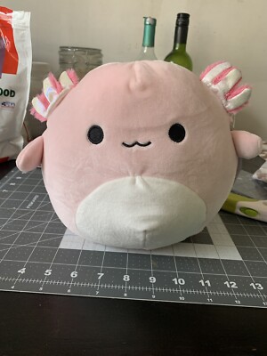 cracker barrel archie axolotl