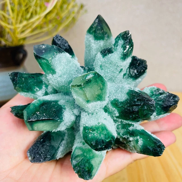 438g Rrae New Find Green Quartz Crystal Cluster Specimen Healing
