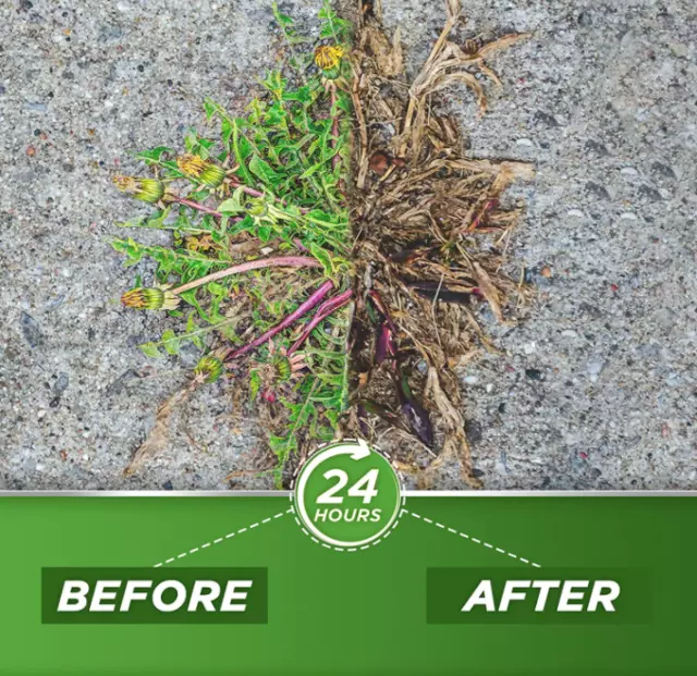 1 Gallon Spray Grass Control 20% Vinegar Weed Killer - Glyphosate Free Herbicide 2