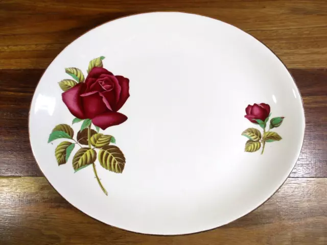 Vintage Swinnertons Staffordshire "Nestor Vellum" Alexandria Red Rose Platter