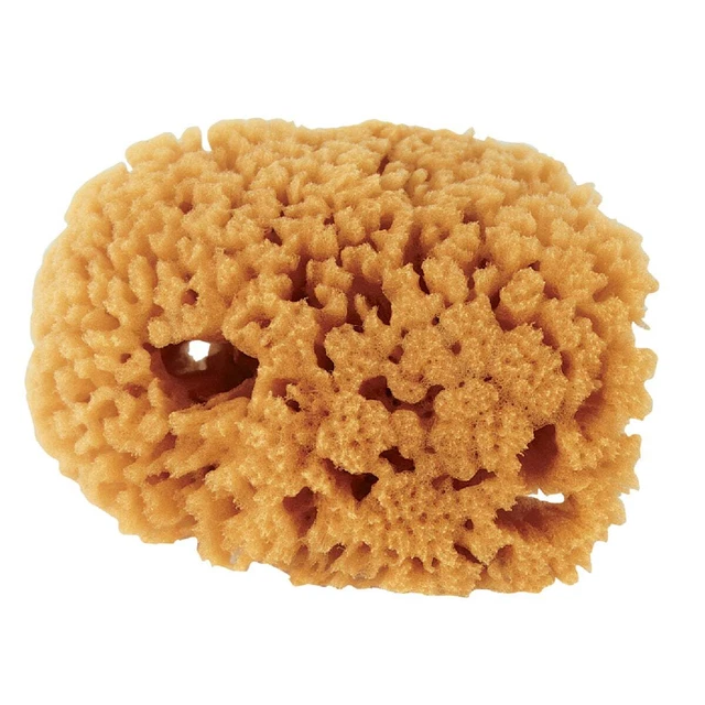 Purdy Symphony 4 In. Yellow Sea Natural Sea Sponge 503192400 Pack of 3 Purdy