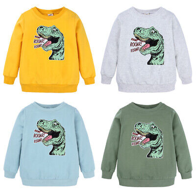 Toddler Baby Boys Girls Kids Clothes Dinosaur Long Sleee Tops T Shirt Tee 1-8Y