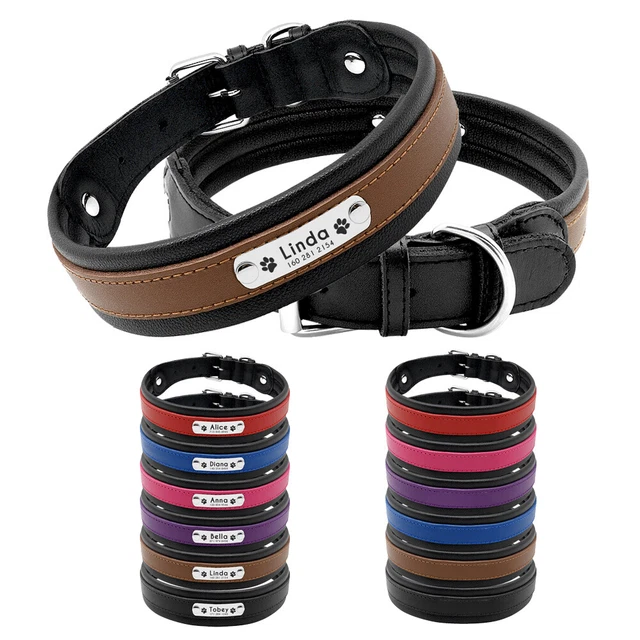 Personalisiertes Leder Hundehalsband Mit Namen Hunde Halsband Schwarz M L XL