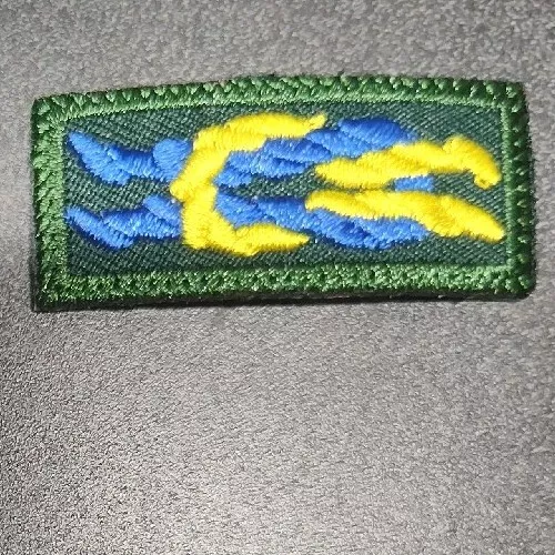 Boy Scout Square Knot Award of Merit Venturing GREEN- Non BSA unofficial GR