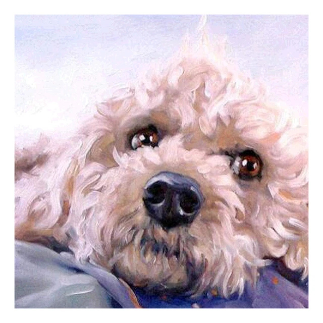 Pintura al óleo por números mascota perro sobre lienzo pintura digital hágalo usted mismo arte de pared artesanía