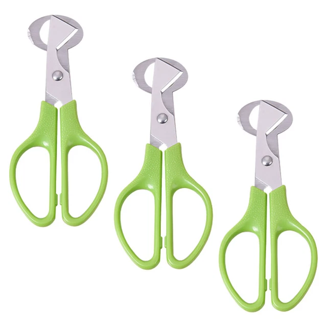Forbici per quaglie cesoie da cucina resistenti schegge 3 pz