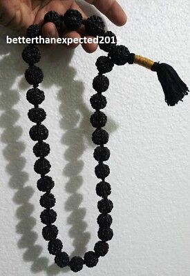 Rare Black Rudraksha Rudraksh Beads 20 Mm Kantha Mala Rosary Necklace~Certified1