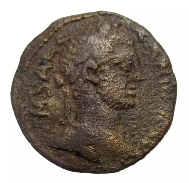 Troas, Alexandria. Ae 24. Severus Alexander 222-235  Ad. Horse Grazing Reverse.