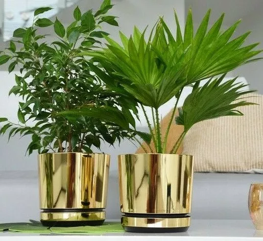 Korad Indoor Mirror Gold Plant Pots with Saucer and Drainage Holes Flower Stand