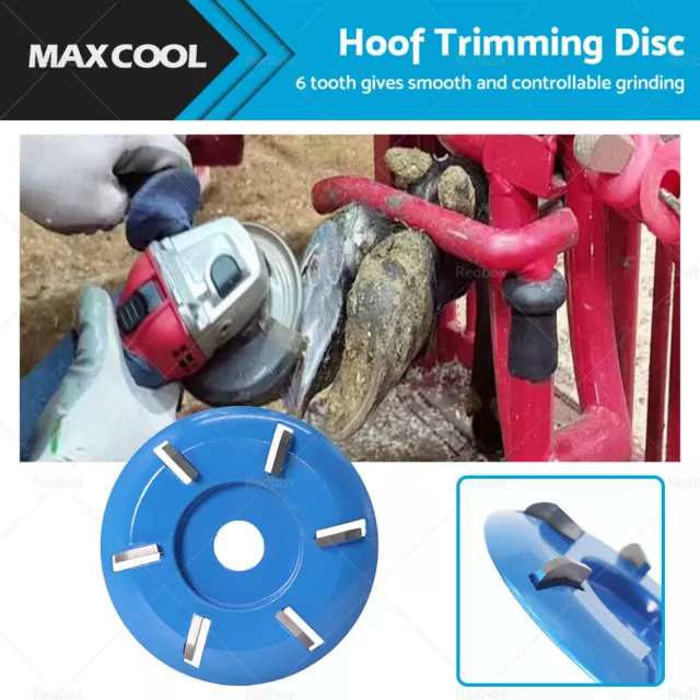 Hoof Trimming Cutter Livestock Sheep Foot Trimmer Disc Plate Electric Hoof Tool