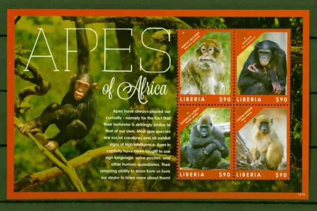 Liberia 2012 - Monkey Monkeys - Primates Chimpanzee Gorilla Pavian - No. 6131-34