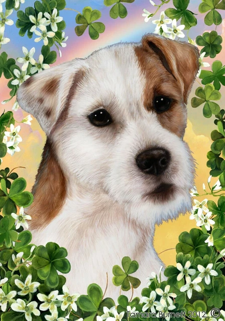 Clover House Flag - Wirehaired Brown and White Half Mask Jack Russell Terrier