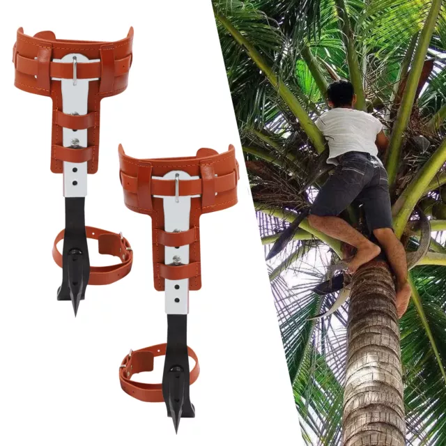 Adjustable Tree Climbing Spike Set Safety Belt Climber Rope Lanyard Rescue Belt