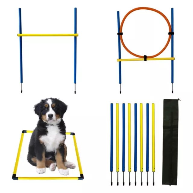 Hunde Agility Set Training Haustiere Hundesport Inklusive Tasche Leicht DHL