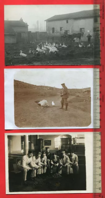 3 x Orig. Militär Foto AK 1. WK, Soldatenleben, Gänse, Hühner, Küche ( 64063