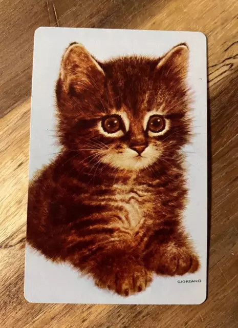 Genuine Vintage Playing/Swap Card - Giordano, Beautiful Tabby Kitten #1