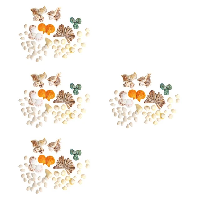 4 Sets Natural Shell Seashell Conch Landscaping Beach Craft