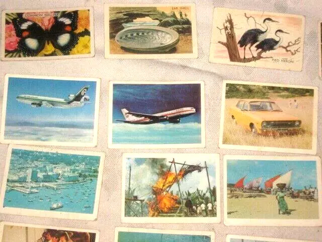 A Lot of 50 Ass't Vintage Shell Oil (3), & Weet-Bix (47) Project Trading Cards 2