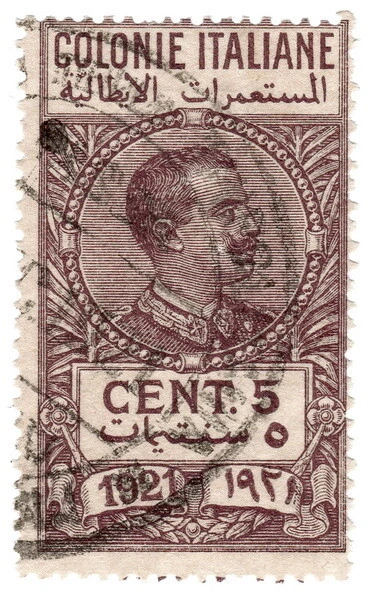 (I.B) Italy (Libya) Revenue : Duty Stamp 5c (1921)