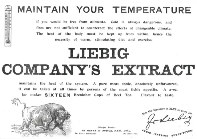 Original Victorian Liebig Extract Print Advert Bull 1898