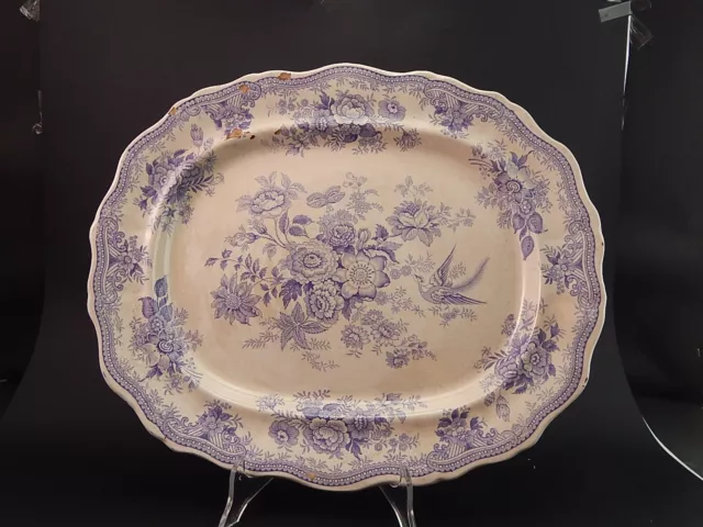 Antico Raro Vassoio Ceramica Primavesi & Sons Swansea Asiatic Pheasants Fine 800