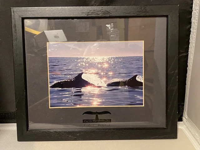 VINTAGE DOLPHIN BOB Talbot Framed Print Titled Dolphin Tales