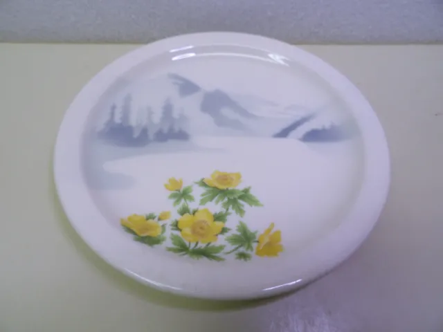 Syracuse Great Northern Railroad Mountains & Flowers Pattern Round Plate 7-1/4"