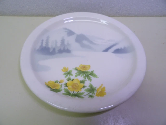 Syracuse Great Northern Railroad Mountains & Flowers Pattern Round Plate 7-1/4"