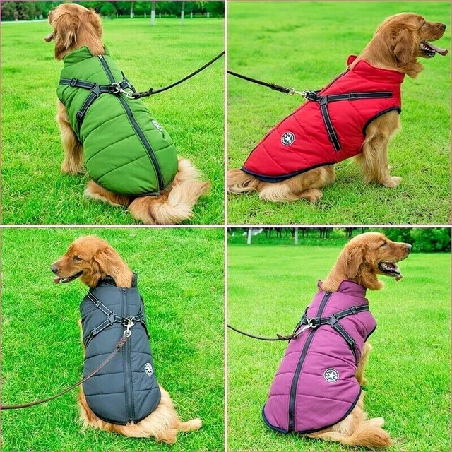 Manteau animal outlet