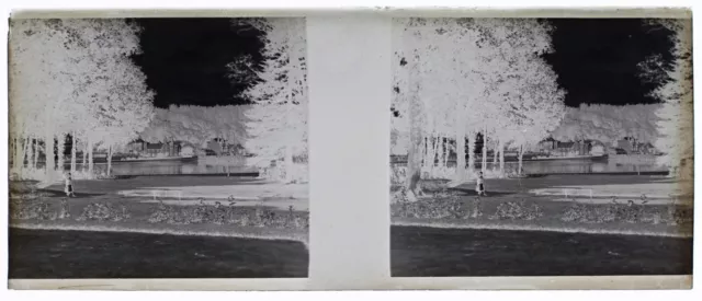 Landscape c1930 Photo NEGATIVE Stereo Glass Plate Vintage V34L5n
