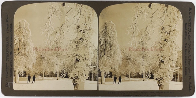 USA Prospect Park Niagara Falls 1901 L5 Foto Stereo Vintage P74L5n