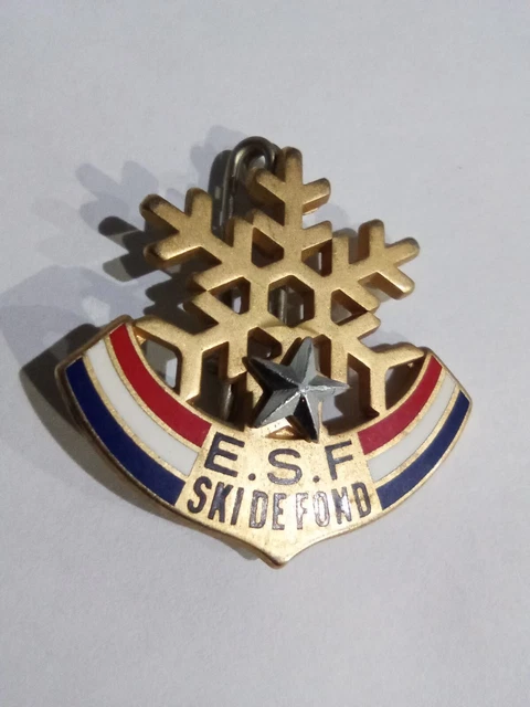 INSIGNE BROCHE RECOMPENSE  ESF ECOLE de SKI