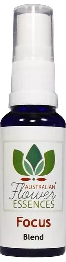 FOCUS concentrazione fiori cespuglio essenze Vitalspray Australian Flower Essences