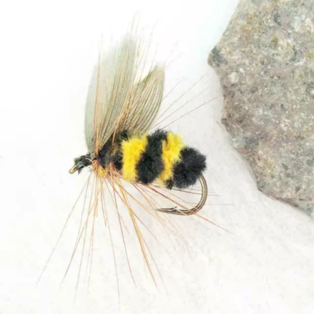 LOT 10 FOAM Bumble Bee Nymph Trout Flies Fly fishing T0Y7 2024 R3I6 2024-  U2O9 $6.80 - PicClick AU