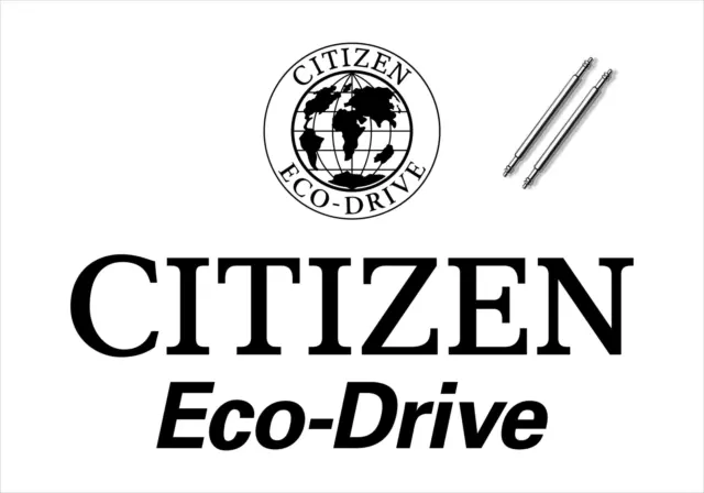 Citizen spring bar hotsell