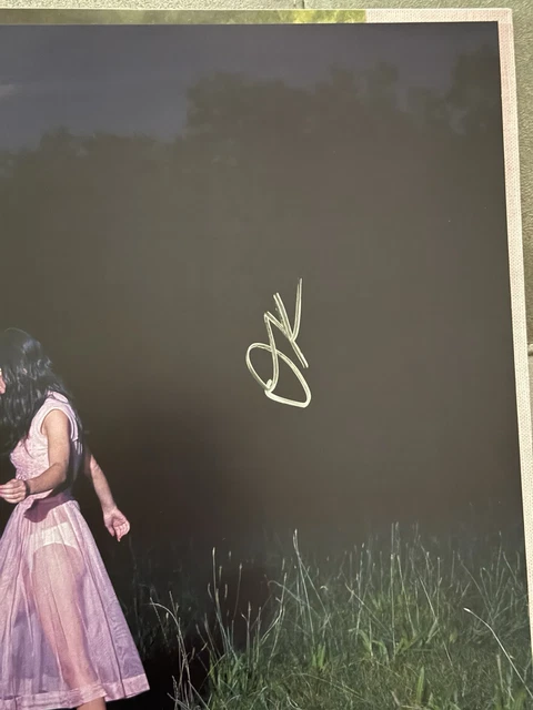 OLIVIA RODRIGO SIGNED You Seem Pretty Sad for A Girl So In Love Vinyl ...