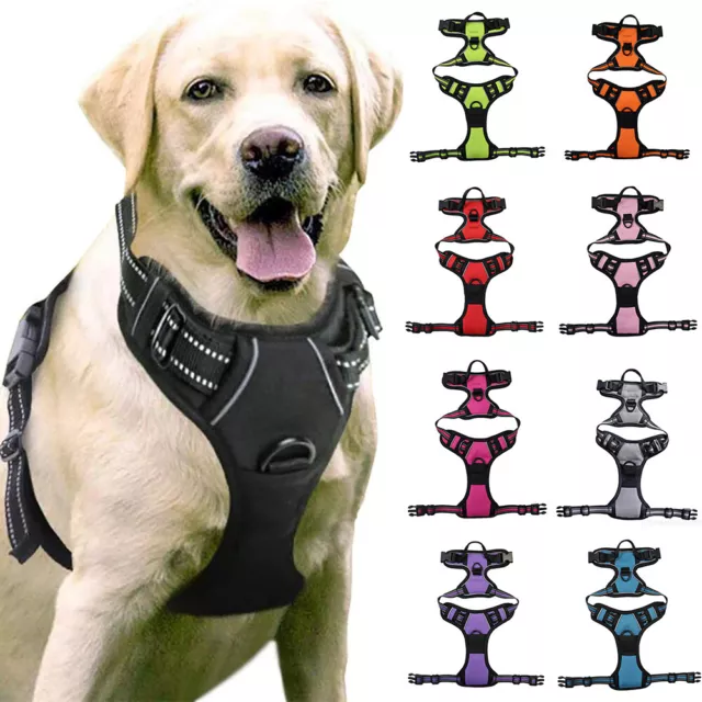 Hundegeschirr Anti-zug Sicherheitsgeschirr Atmungsaktiv Gepolstert Gr. S M L XL