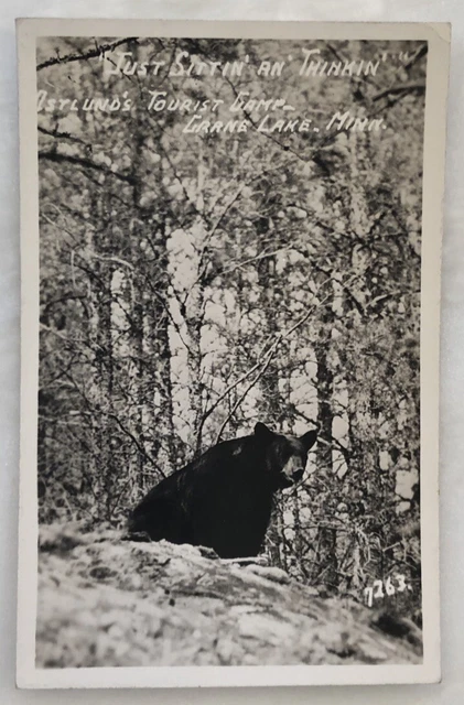 c 1940 CRANE LAKE Minnesota BEAR Ostlund's Tourist Camp RPPC Real PHOTO Postcard