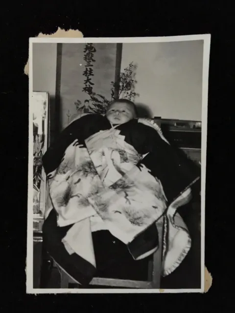 #4776 Giapponese Vintage Foto 1940s / Baby Boy Kimono Appeso Pergamena