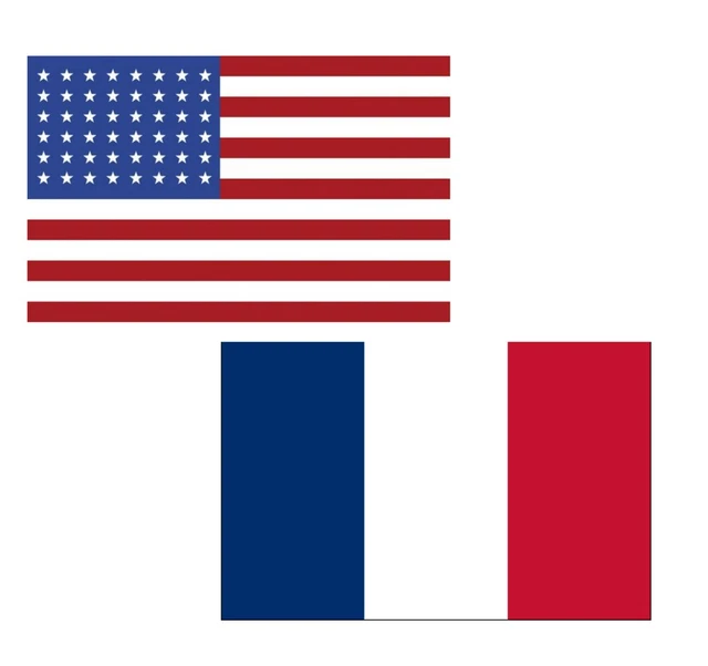 3'x5' Polyester USA & France Flag Set; One Flag for Each Country