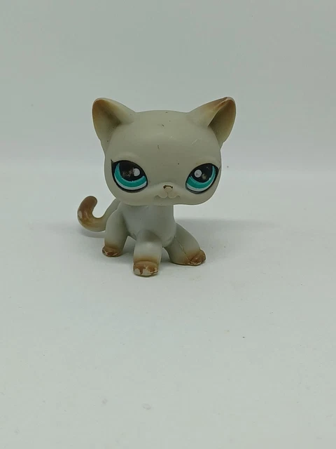 Figurine Petshop chat européen Orange pailleté en très bon état lps