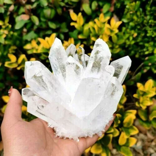 New Find white Phantom Quartz Crystal Cluster Mineral Specimen Healing 300g+/1pc 8