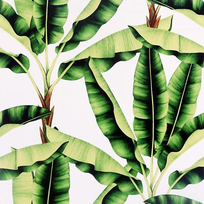 Arthouse MUSA VERDE TROPICALE FOGLIA DI BANANO Caratteristica Carta Da Parati realistico 909604 