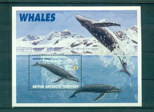 British Antarctic Terr. - Sc# 248. 1996 Whales. MNH Souvenir Sheet. $9.50.